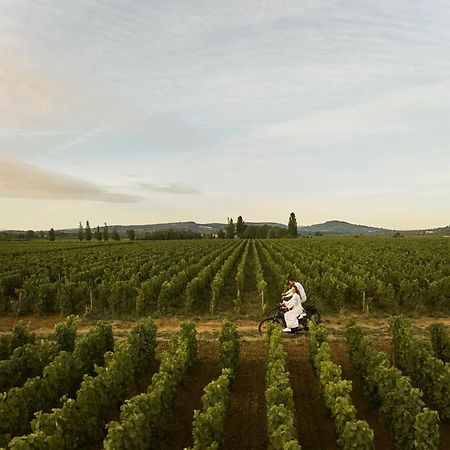 Como Le Montrachet Пюлини-Монтраше Екстериор снимка
