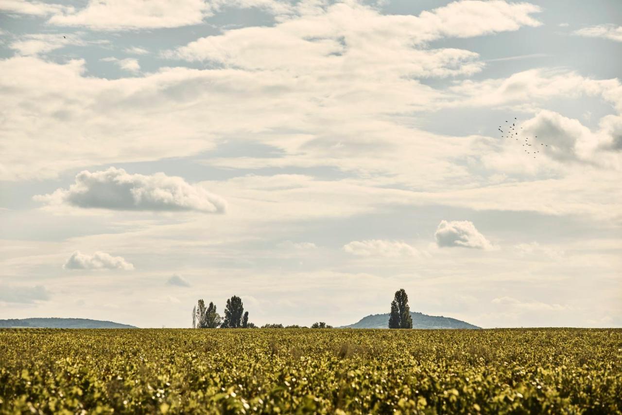 Como Le Montrachet Пюлини-Монтраше Екстериор снимка