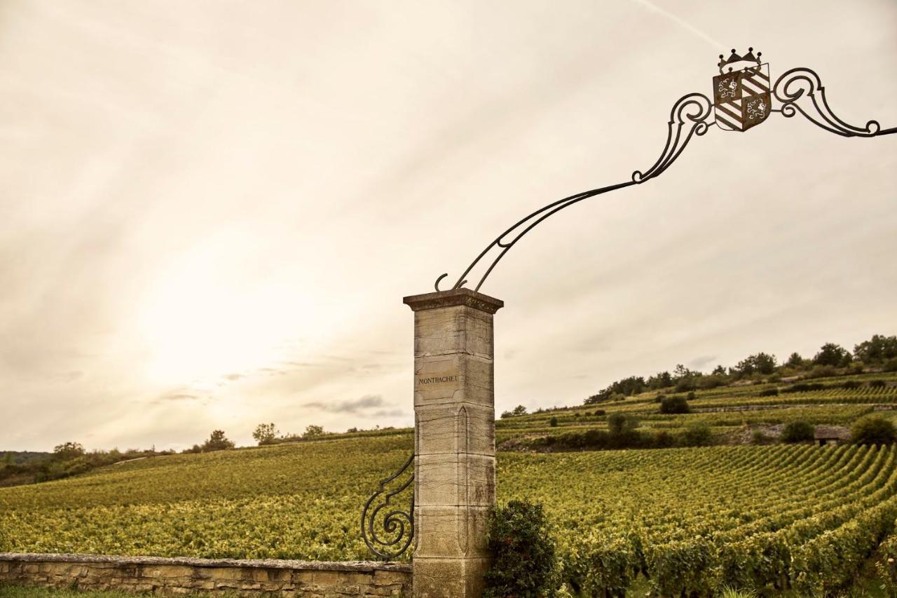 Como Le Montrachet Пюлини-Монтраше Екстериор снимка